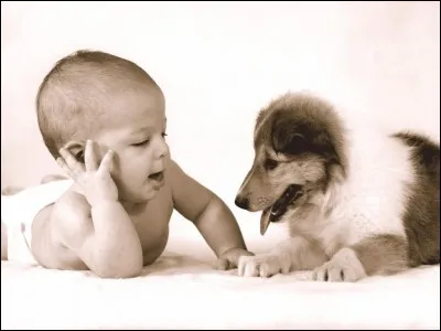 Aimes-tu t'occuper d'enfants, bébés ou animaux ?