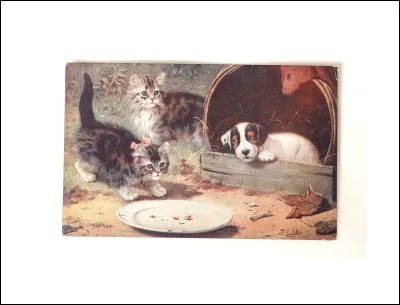 Aimes-tu dormir, manger et jouer un peu ?