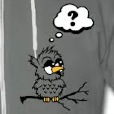 Chasse à l'intrus !