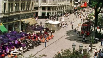 Curitiba, grande ville de 1,8 million d'habitants dans une agglomération de plus de 3 millions, est souvent citée en exemple en matière de développement durable. Dans quel pays se trouve-t-elle ?