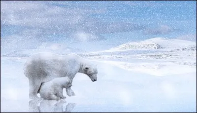Cet &eacute;t&eacute;, il a plu en Antarctique.