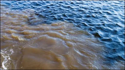 Les eaux sales des villes qui partent dans ton &eacute;vier vont dans les ...