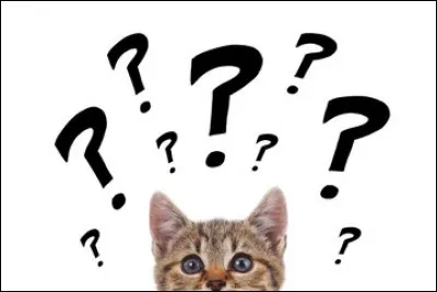 Quel intrus ne miaule pas ?