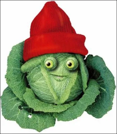 De quelle couleur est le légume en photo en cas d'échec ?