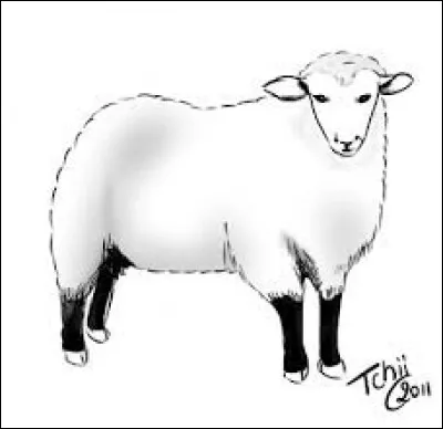 Complétez cette expression : "Chacun chez soi et les moutons seront...