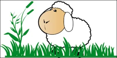 Complétez cette expression : "Etre ...comme un mouton".