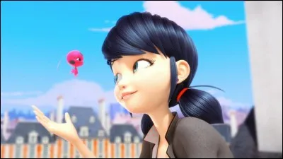 De quelle couleur est le cahier secret de Marinette ?