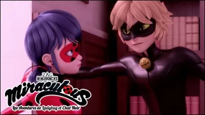 Que dit Chat Noir à Ladybug lorsqu'ils sont coincés dans un ascenseur ?