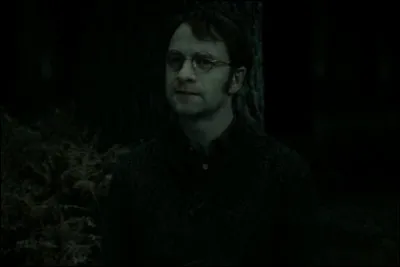 Qui est le père de Harry ?