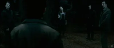 Dans Harry Potter 7 part 2, qui est le seul Maraudeur que ne voit pas Harry ?