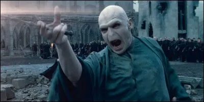 Voldemort tue (dans les Maraudeurs) :