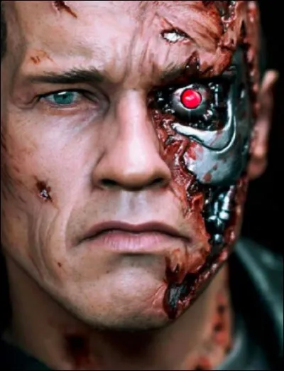 Quelle uvre cinématographique représente cette image ?