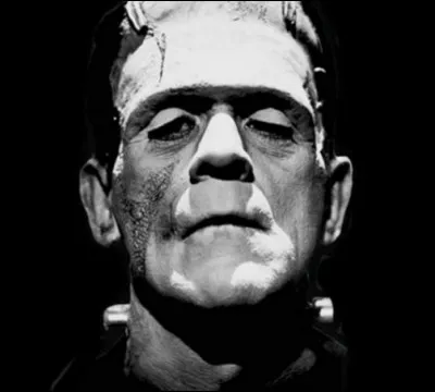 Quelle uvre cinématographique représente cette image ?