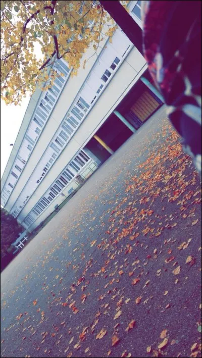 Ou r&ecirc;verais tu de faire un pique-nique ?