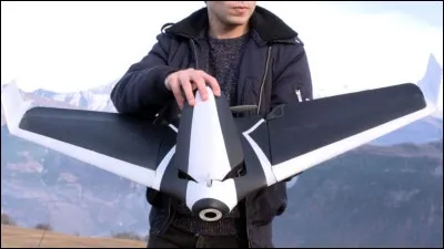 De quel drone s'agit-il ?
