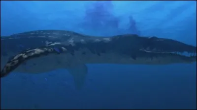 Quel était le seul reptile marin qui pouvait mesurer jusqu'à 25 m ?