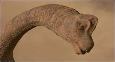 Quels étaient les seuls sauropodes d'Afrique il y a 150 millions d'années?