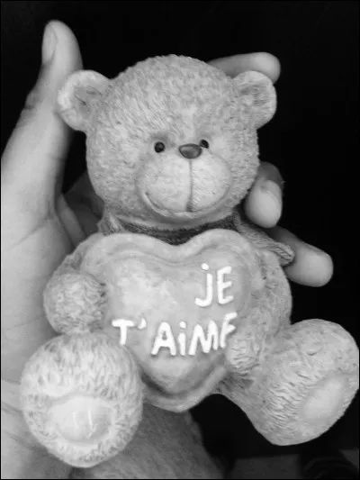 Quel est son plat pr&eacute;f&eacute;r&eacute; ?