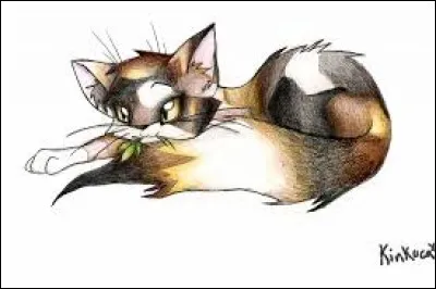 Elle est assassinée par :