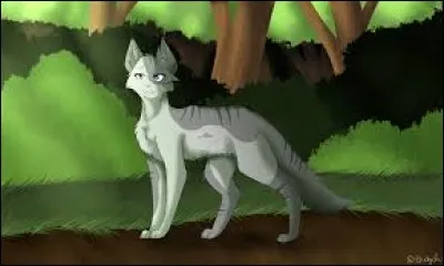 Comment réagit Feuille de Lis en apprenant les pouvoirs d'Aile de Colombe ?