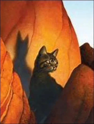 Qui Etoile de Ronce choisit-il comme lieutenant ?