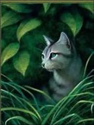 Qui est Feuille de Lis pour Aile de Colombe ?