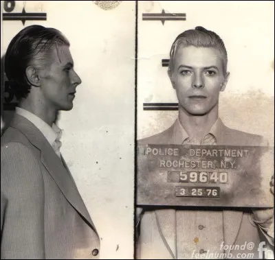 Le "mince duc blanc" est le personnage de Bowie dans...