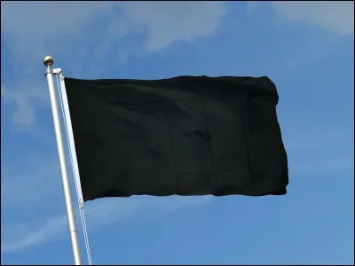 Le drapeau noir est celui du mouvement :