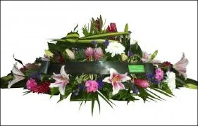 Le cercueil d'une très grande star du cinéma fut volé et retrouvé dans un terrain vague. De qui s'agit-il ?