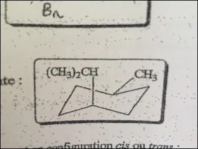 Soit la conformation chaise ci-contre : pr&eacute;ciser si les deux substituants sont en configuration CIS ou trans.
