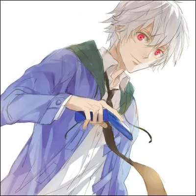 Comment s'appelle le journal que tient Aru Akise dans le tome 10 ?