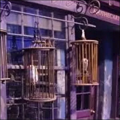 Tu passeras sûrement aussi par la ménagerie magique. Quel animal te correspondrait le plus ?