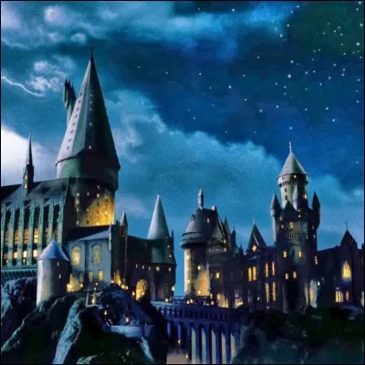 A ton arrivée à Poudlard, tu seras placé(e) dans une maison mais dans laquelle ?