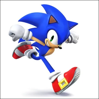 Sonic est un :