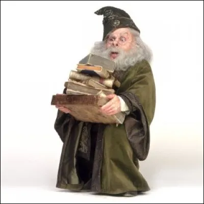 Quel est le prénom du professeur de sortilèges ?