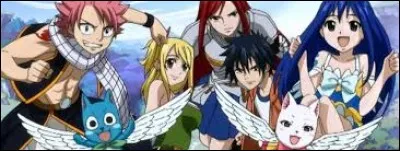 Il faut que tu saches que pour trouver son apparence, tu auras besoin de savoir qu'elle vient de "Fairy Tail", qu'elle s'appelle Marl, qu'elle est mariée à un certain Lucky, que c'est un Exeed, qu'elle a un fils nommé Happy et qu'elle est extrêmement gentille. Coche la bonne couleur qui désigne son apparence.