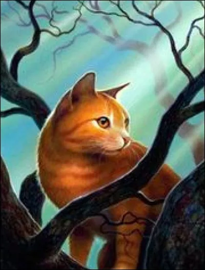 Comment se nommera le seul et unique chaton de Ciel Bleu ?