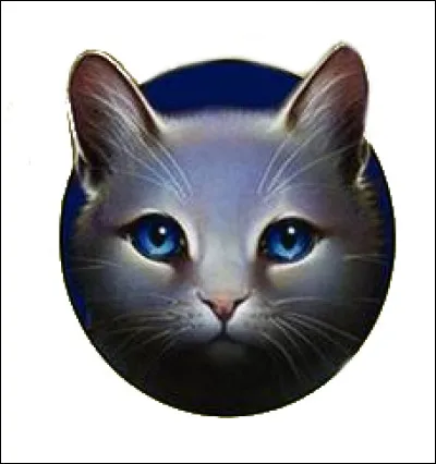 Comment s'appelle le chat appartenant à la même portée que Gris Poil ?