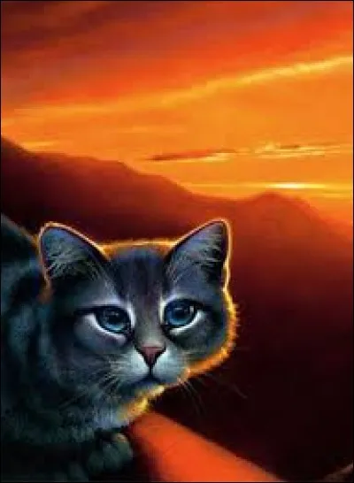 Pourquoi Ciel Bleu rejette-t-il son petit frère, Pic Crochu, de son ''clan'' ?