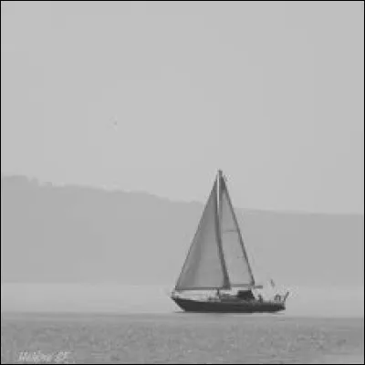 Quel est le nom correct de cette course à la voile en solitaire ?