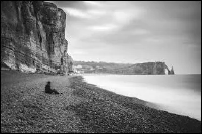 'Seul sur le sable les yeux dans l'eau' . A qui pense Roch Voisine ?