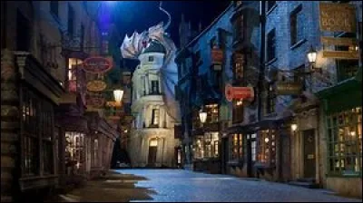 Le Chemin de Traverse est une rue commerçante pour sorciers située à New York.