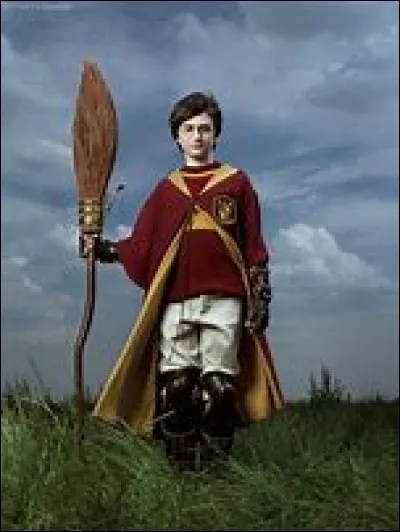 Harry Potter est batteur dans l'équipe de Quidditch de Gryffondor.