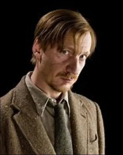 Le professeur Remus Lupin est un loup-garou.