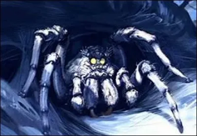 L'Acromentule est une monstrueuse araignée qui vit dans le sous-sol de Poudlard.