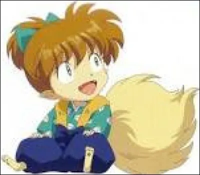 Qui est ce demi-renard ?