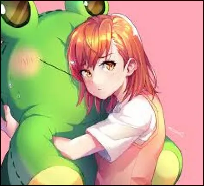 Qui est le personnage préféré de Misaka ?