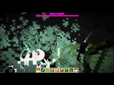 Que fais-tu quand tu as vaincu l'Ender Dragon ?