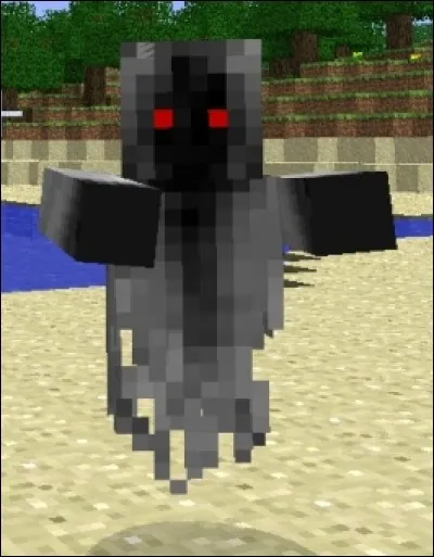 Quelle est sa plus grande série ?