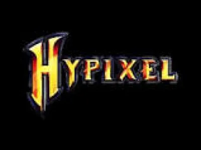 Quel est le serveur le plus connu avant Hypixel ?